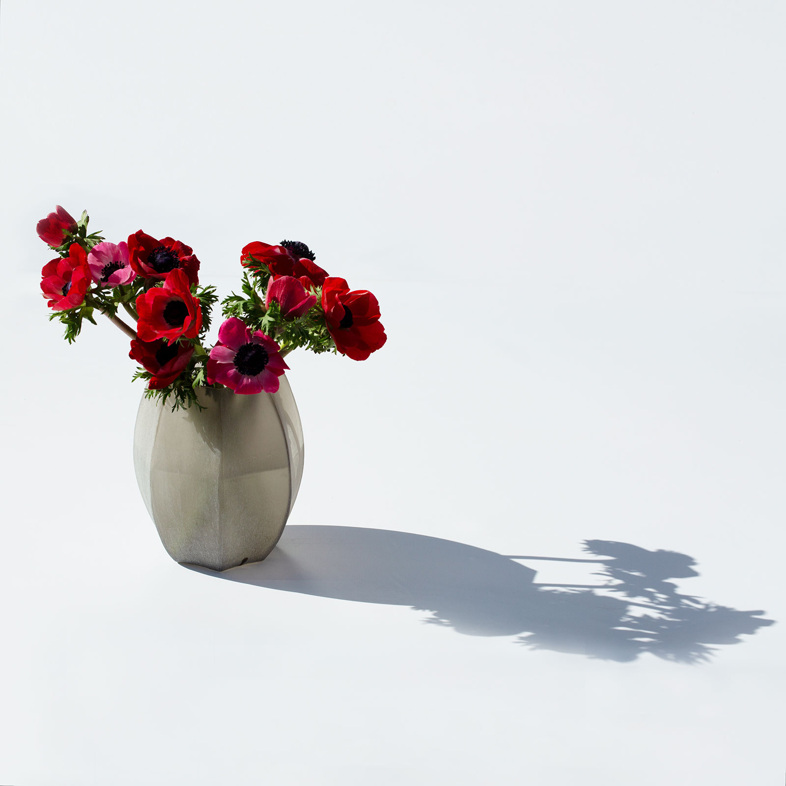 Auf einem weißen Untergrund steht die Koonam Vase S smokegrey von Guaxs, gefüllt mit dunkelroten Blumen.