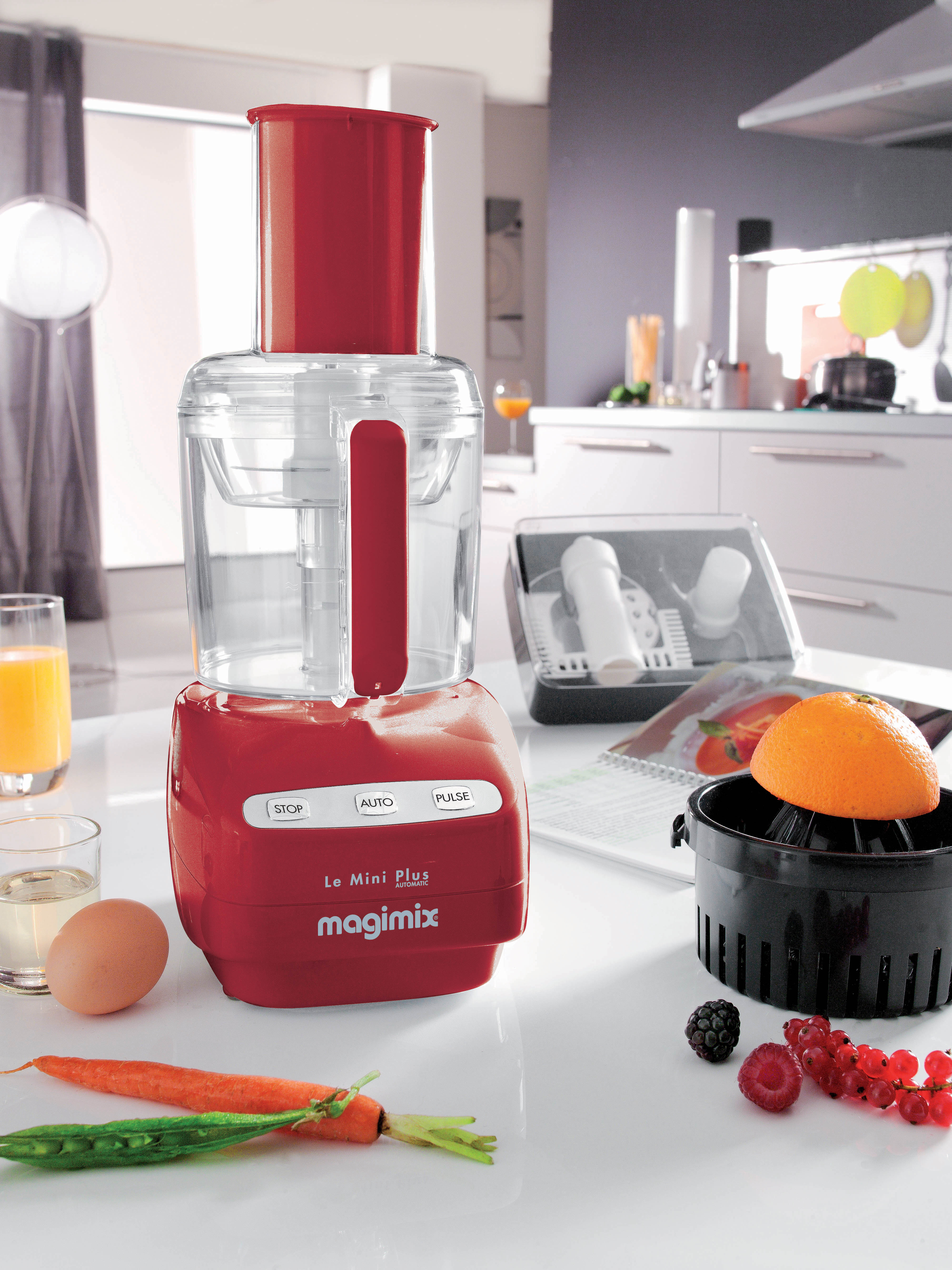 Magimix Küchenmaschine Le Mini Plus rot