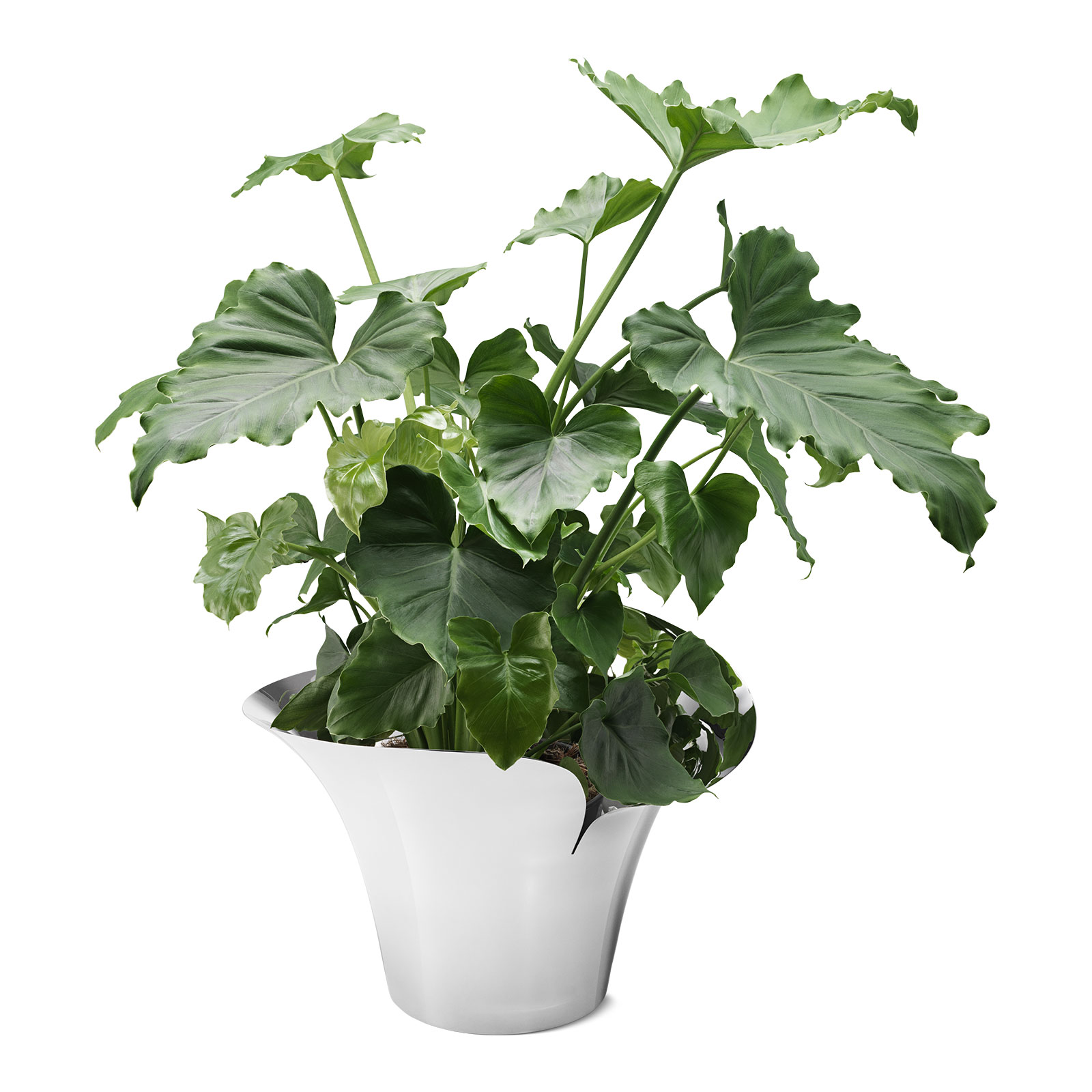 Georg Jensen Bloom Botanica Übertopf groß 22,5cm Edelstahl