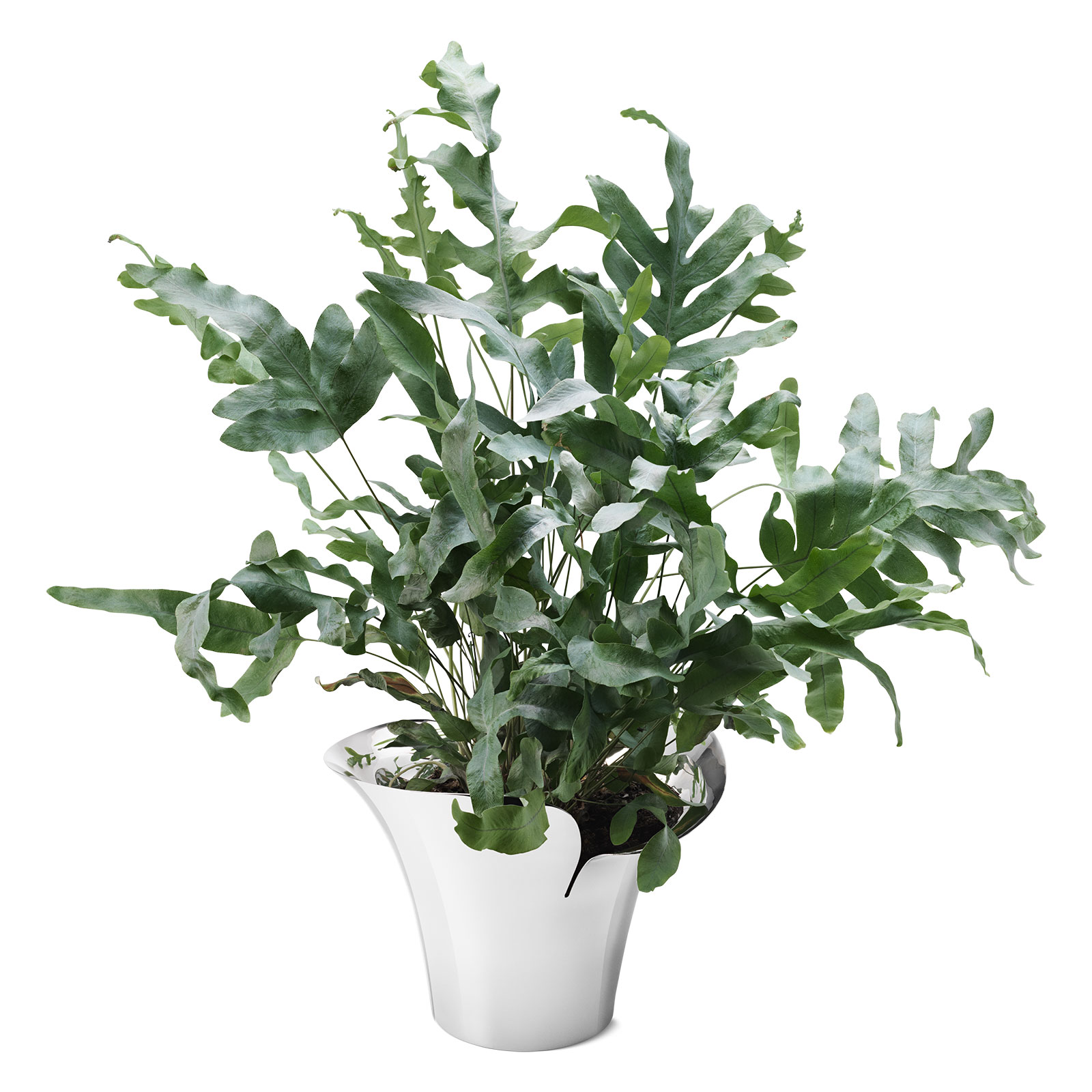 Georg Jensen Bloom Botanica Übertopf mittel 19cm Edelstahl