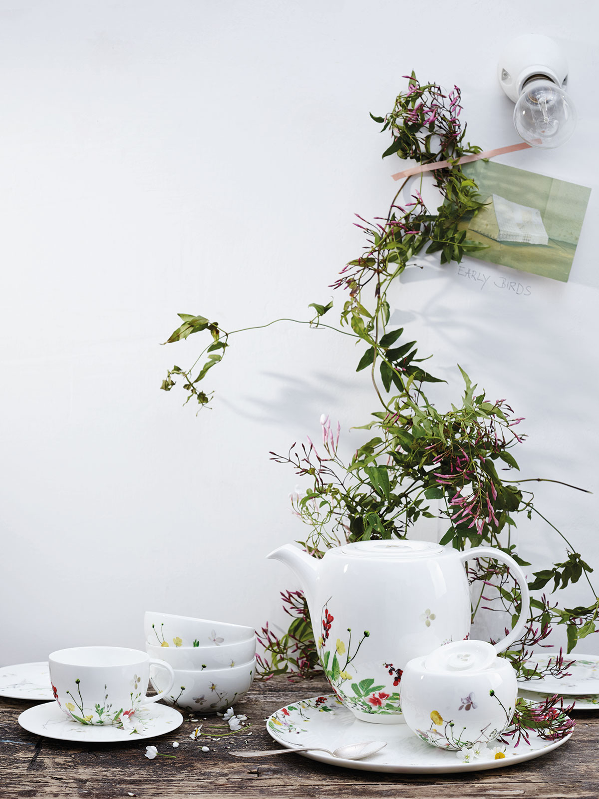 Geschirrserie Brillance Fleurs Sauvages