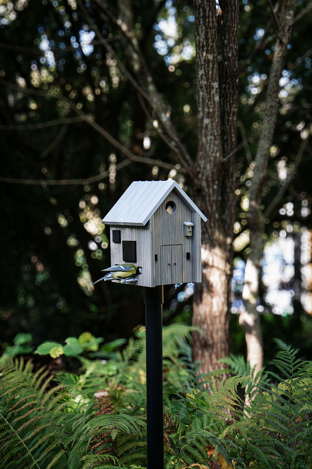 Wildlife Garden Multiholk Vogelhaus Nordisch Modern