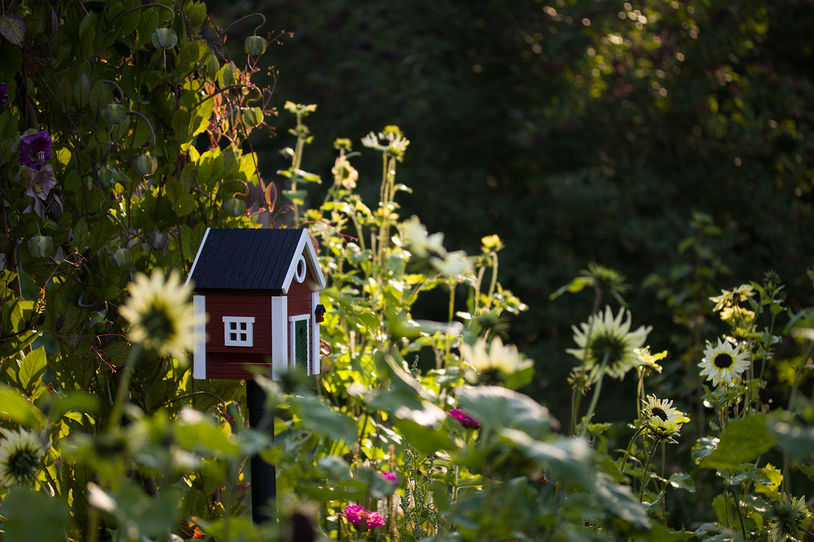 Wildlife Garden Multiholk Vogelhaus Schwedenkate