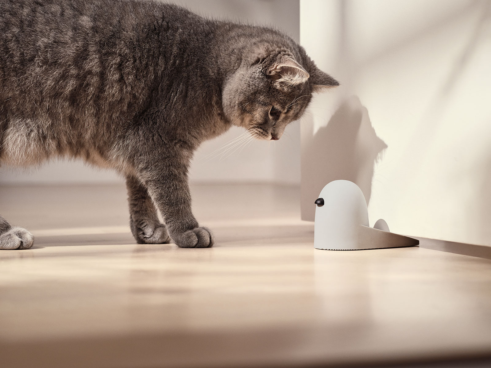 Stelton BOB Türstopper grau