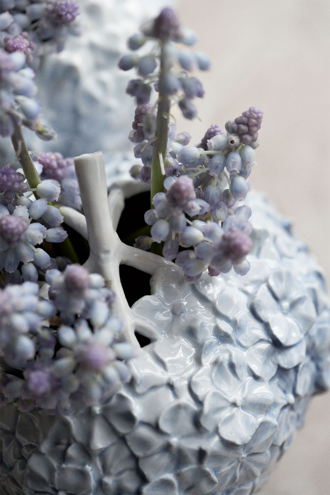 Eine Nahaufnahme von hellblauen Perlhyazinthen in der Hortensien Vase hellblau.