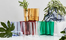 iittala Vasen